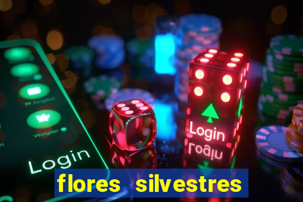 flores silvestres desbravadores desbravadores 25